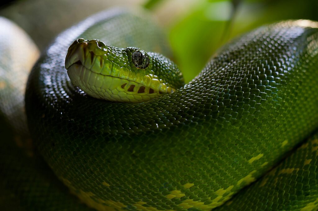 Apprendre le python